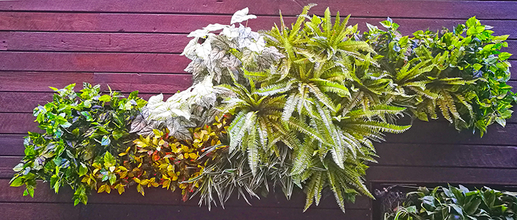 Artificial Green Walls in Shopping Mall
